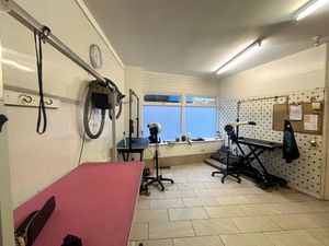 Photo 7- click for photo gallery